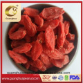 Organic Best Quality Dried Goji Berry New Crop